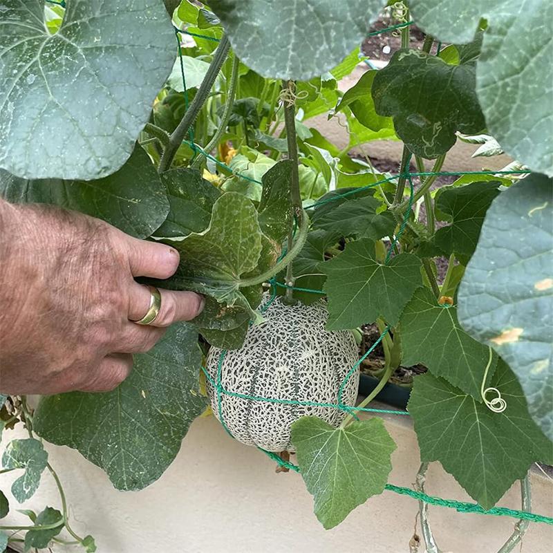 Garden Trellis Netting Plants Support Netting 1.8X 2.7M Nylon Trellis Mesh Net Garden Growing Pea Netting for Climbing Plants Vegetable Fruits Cucumber Bean Flowers 2