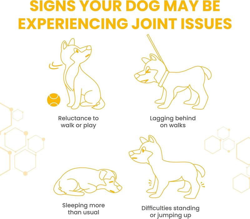 Vetzyme High Strength Flexible Joint Supplements for Senior Dogs (90 Tablets) - Hip and Joint Care with Chondroitin and Glucosamine, Tasty Chicken Flavour 3