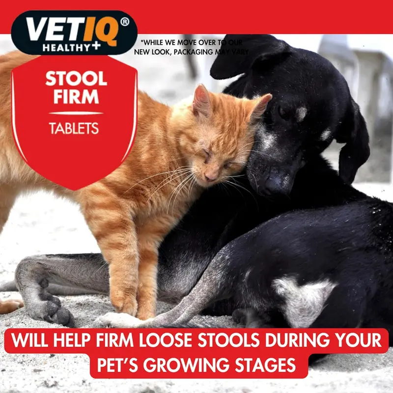 VetIQ Stool Firm (45 Tablets) Clear 4