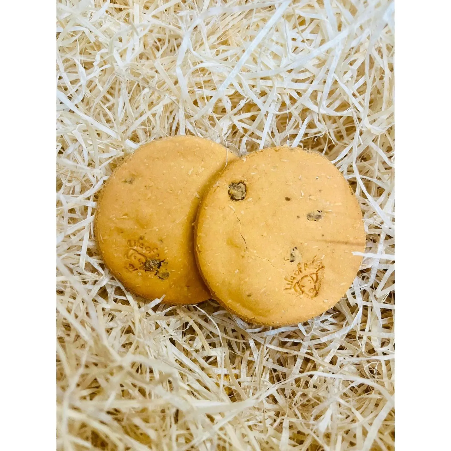 Peanut Butter and Carob Dog Cookie