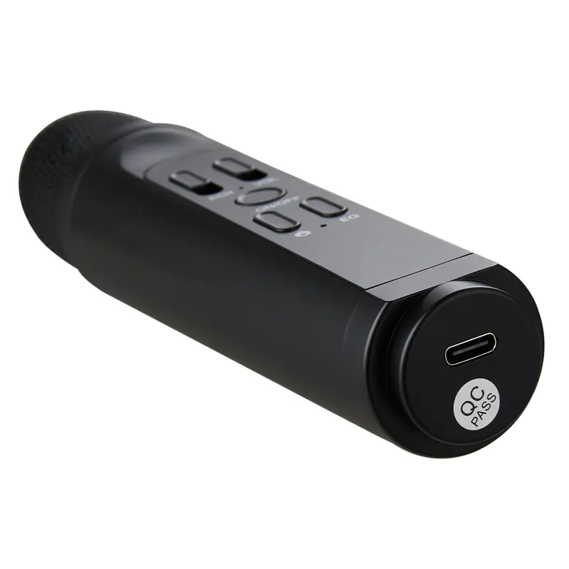 Lifeideas Portable Wireless bluetooth 5.0 RGB Light Karaoke Speaker With 2 Microphones Audio Smartphone 6