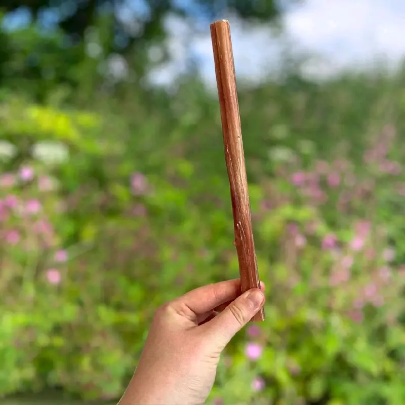 Pizzle - 24cm (Also known as Bully Sticks) Natural Dog Treat Long Lasting Chew 4