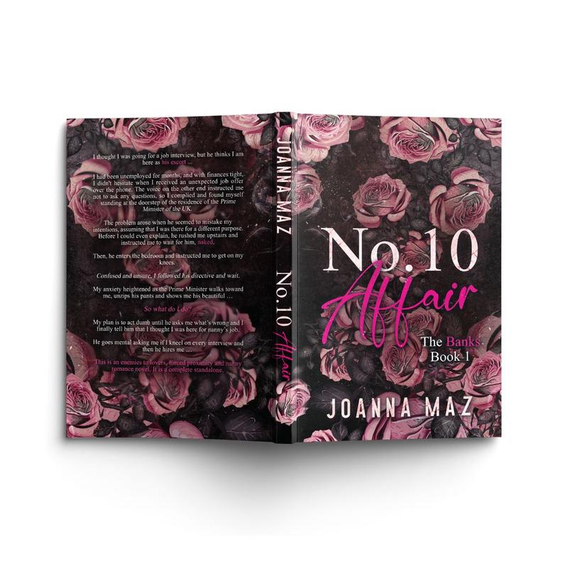 Number 10 Affair - paperback (alternate cover edition) 2