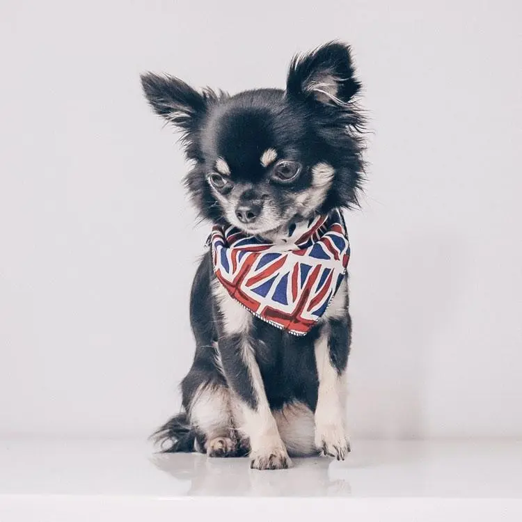 Union Jack Bandana - handmade in the UK