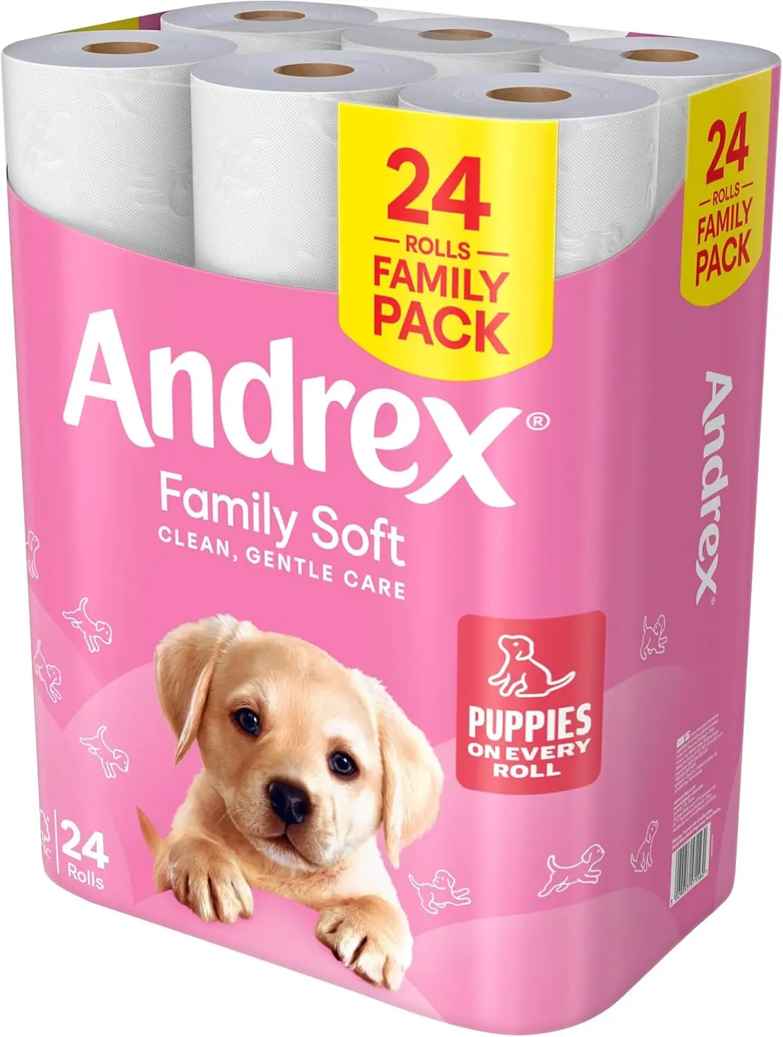 Family Soft Toilet Tissue 24 Toilet Rolls (Previously Andrex Gentle Clean Toilet Paper), Gentle on your Family’s skin– Bulk Pack of 24 Toilet Rolls, Packaging May Vary Wipes