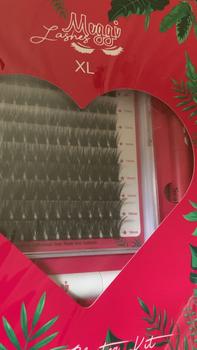 Product Review of Meggi lashes XL Cluster Kits from ⛦** T**i ** L** ⛦** 0