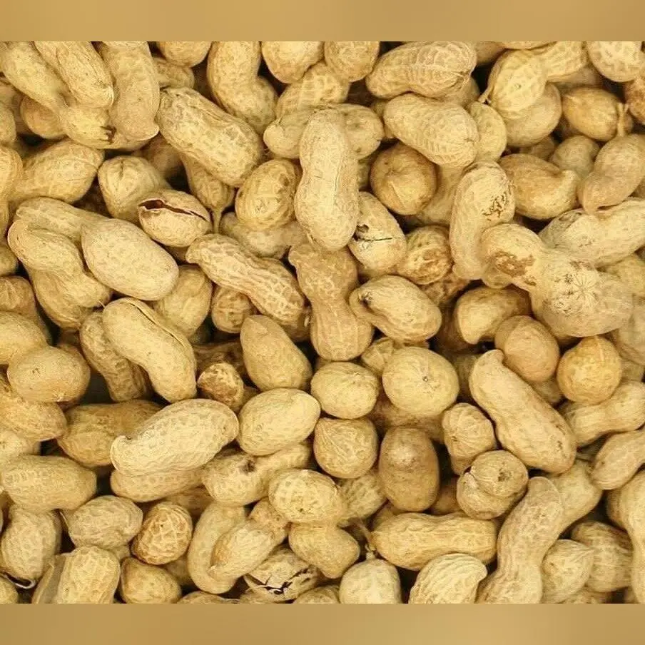 Monkey Nuts - Peanuts in Shells for Wild Birds & Squirrels