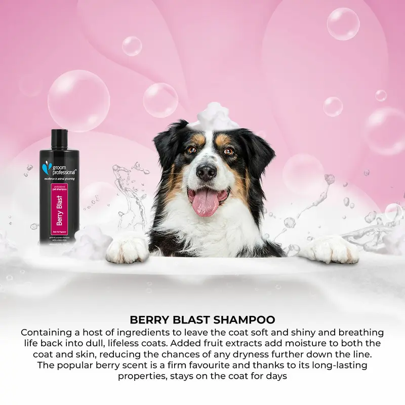 Groom Professional Berry Blast Shampoo 3