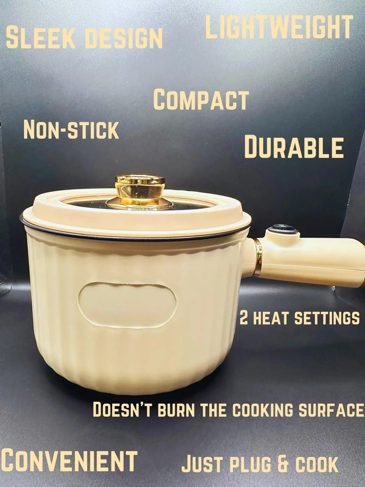 SwiftChef Pro Lazy Pot 1.8L CAPACITY 300W 600W