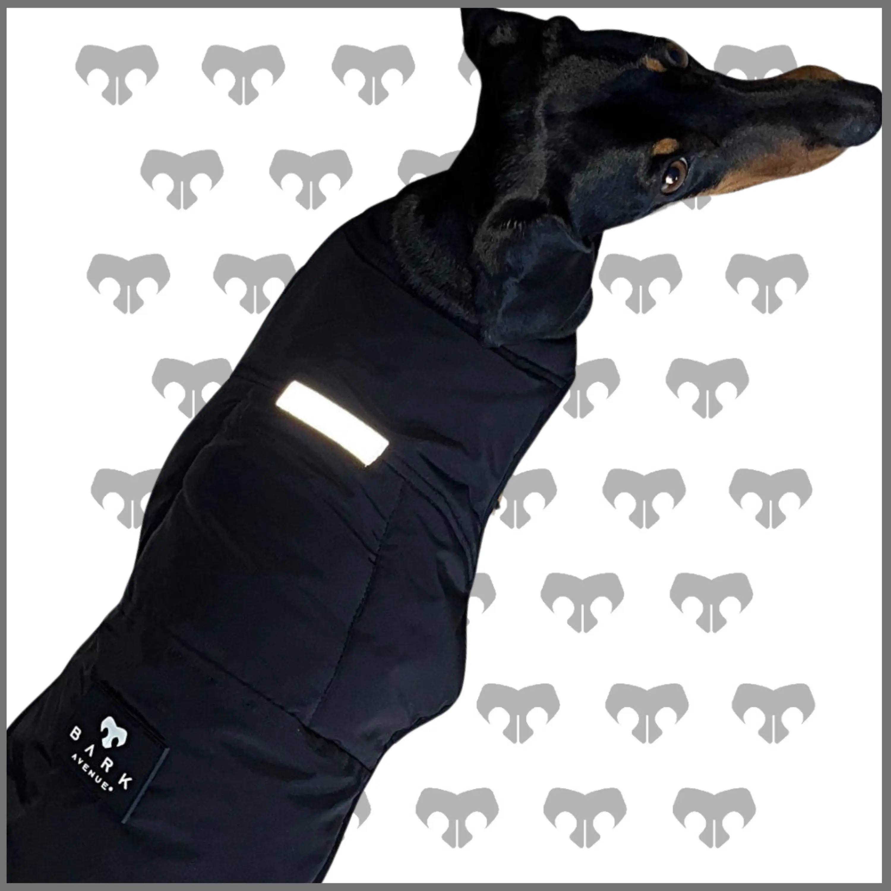 BARK AVENUE Luxury Ultimate Explorer Coat - Black