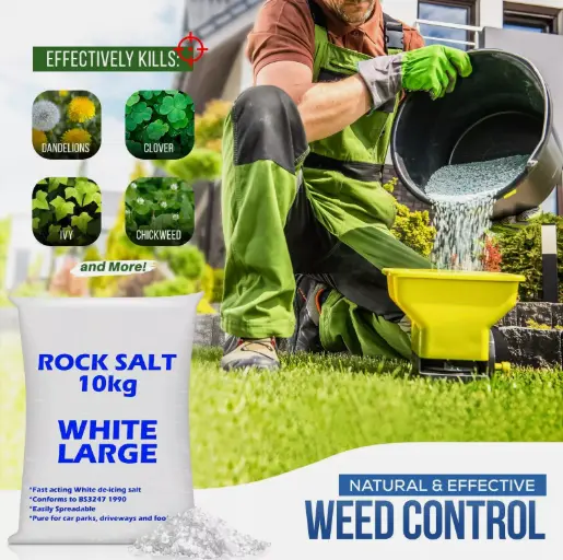 White Deicing Rock Salt Grit Winter Snow Ice Driveways Road Gritting, not for Flavor 3