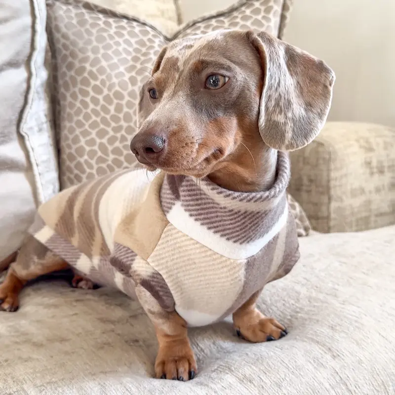 Plaid Dachshund Fleece - Black Friday Offer dog jumper 0