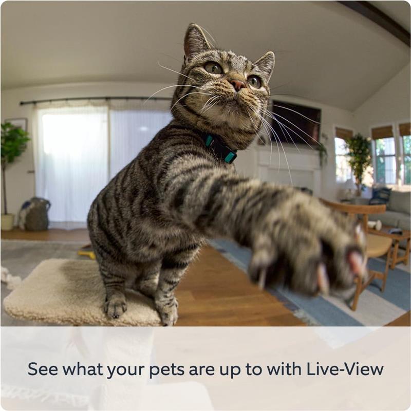 Pan-Tilt Indoor Camera | Plug-In Pet Security Camera | 360° pan & 169° tilt coverage, Manual Privacy Cover, HD video, Two-Way Talk, Wi-Fi | 30-day free trial of Home 3