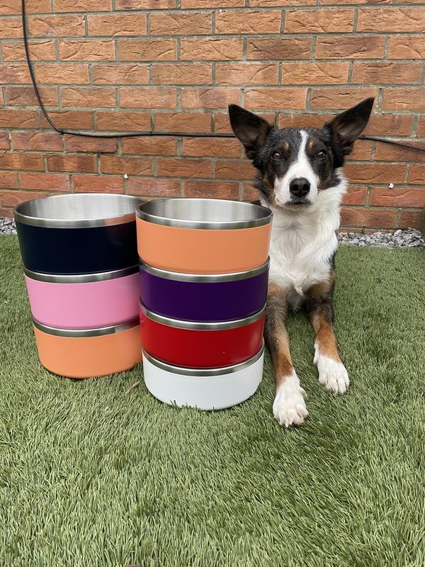Double Layer Dog Bowl Stainless Steel Pet Bowl 1