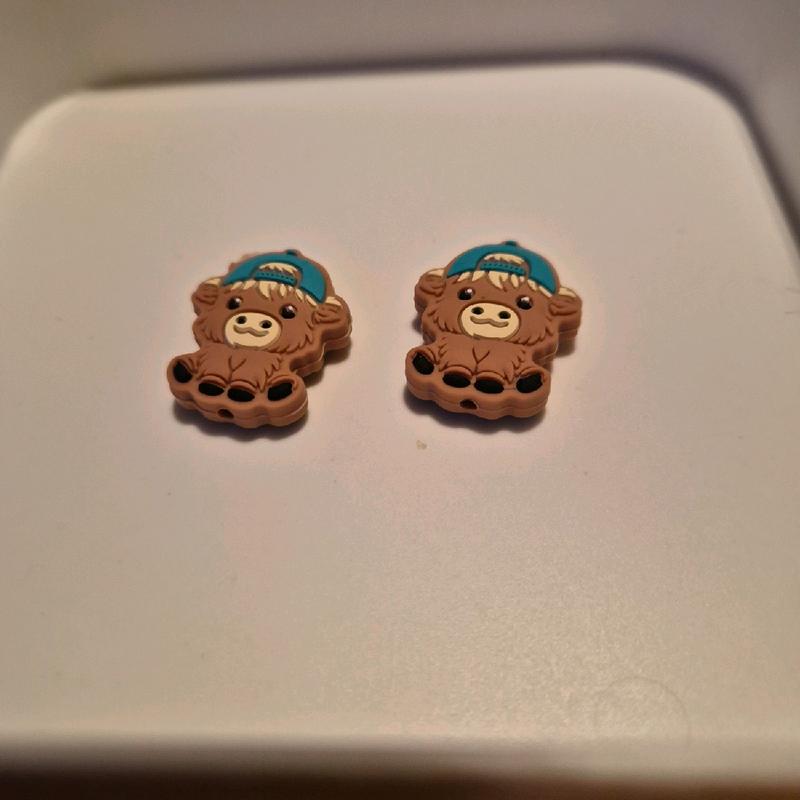 Highland cow focals 0