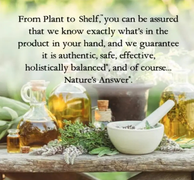 Natures Answer - Milk Thistle Seed (30ml) Liver Detox 2