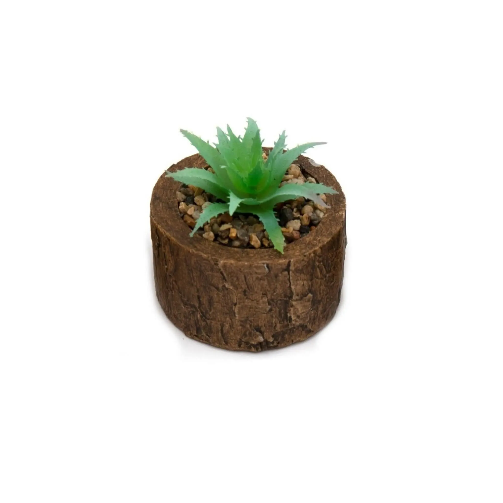 Bark Effect Pot and Succulent