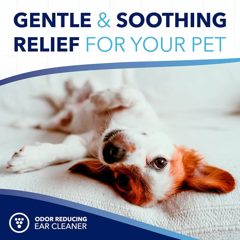 TropiClean OxyMed Medicated Dog Ear Cleaner for Pets - Ear Cleaning Solution & Treatment - Quickly Dissolves Wax, Reduces Odour, Promotes Healthy Ear Hygiene - Ear Cleaner, 118ml 6