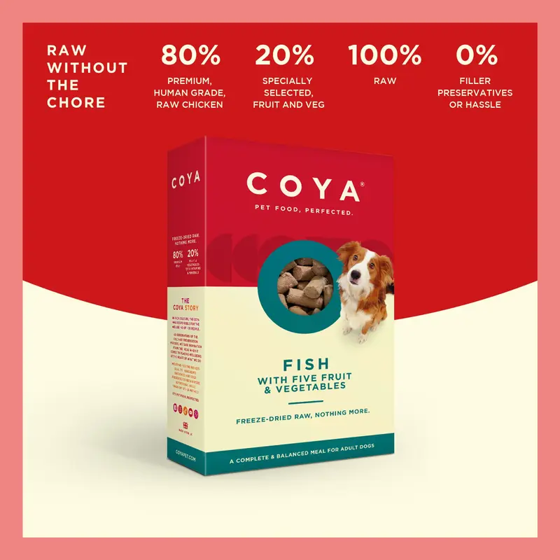 COYA Fish Freeze-Dried Raw Main Meal (150g) 3