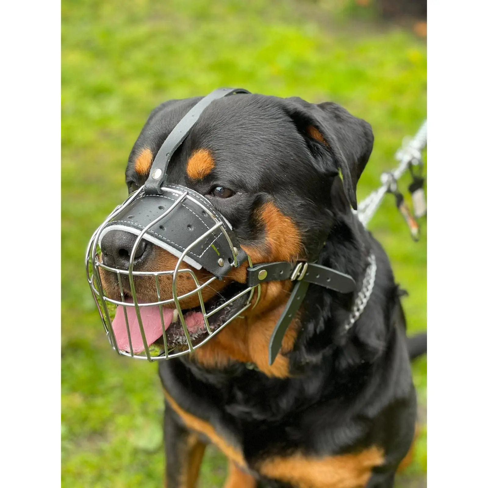 Strong Metal Wire Basket Dog Muzzle for Rottweiler, Mastiff & other