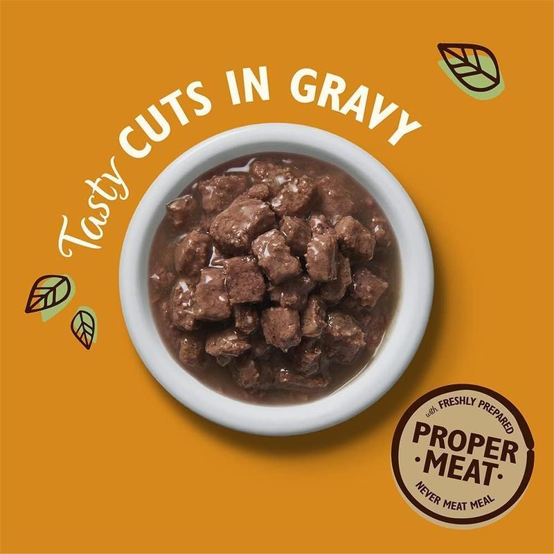 Lily's Kitchen Natural Adult Wet Cat Food in Gravy - Tasty Cuts Mixed Multipack - Complete Grain-Free Recipes (16 Tins x 85g) 1