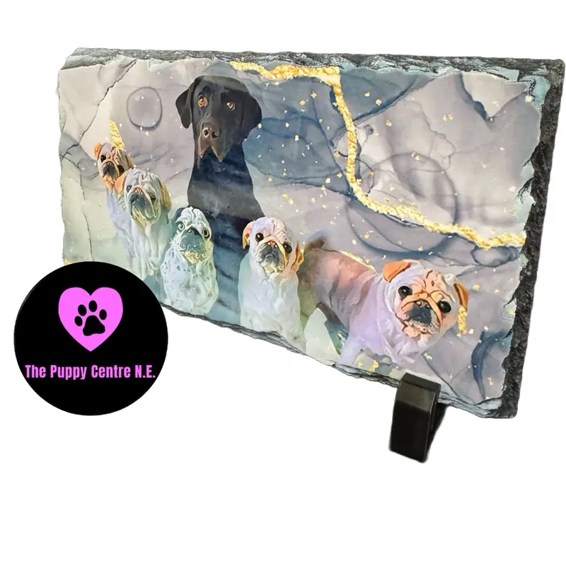 Custom Slate Photo Tile + Mothers Day + Dog Owner Gift + Pet Pictures + Rectangle 22cm x 12 cm with Gift Box 5
