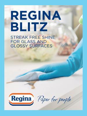 Regina 24 Rolls Blitz Kitchen Towel Super Strong 3 Ply 70 Sheets per roll Amazing Value Kitchen Soft Pattern Cleaning Household kitchen rolls 4