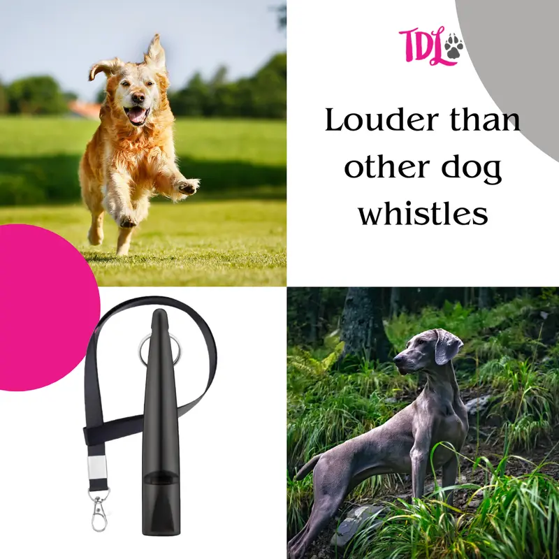 TDL Gun Dog Training Whistle with Lanyard - Dog Whistle with Loud, Solid Tone & Far Reaching Sound - Ideal High-Frequency Long-Distance Dog Recall Whistle for Most Breeds - TDL is the only Genuine supplier of the TDL Gundog Whistle 5