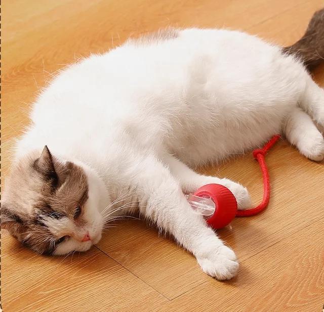[UK Seller 48hr Delivery] Electric Cat Ball Toy Interactive with Rope Cat Teaser, Automatic Rolling Ball, Pet Chasing Toy Pet Supplies, Dog & Cat Accessories, Christmas Gift, Kitten Puppy Toy Chase Fun 8