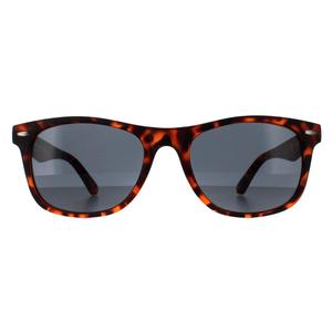 Smarty Sunglasses SB2309 B Satin Dark Tortoise Brown Grey