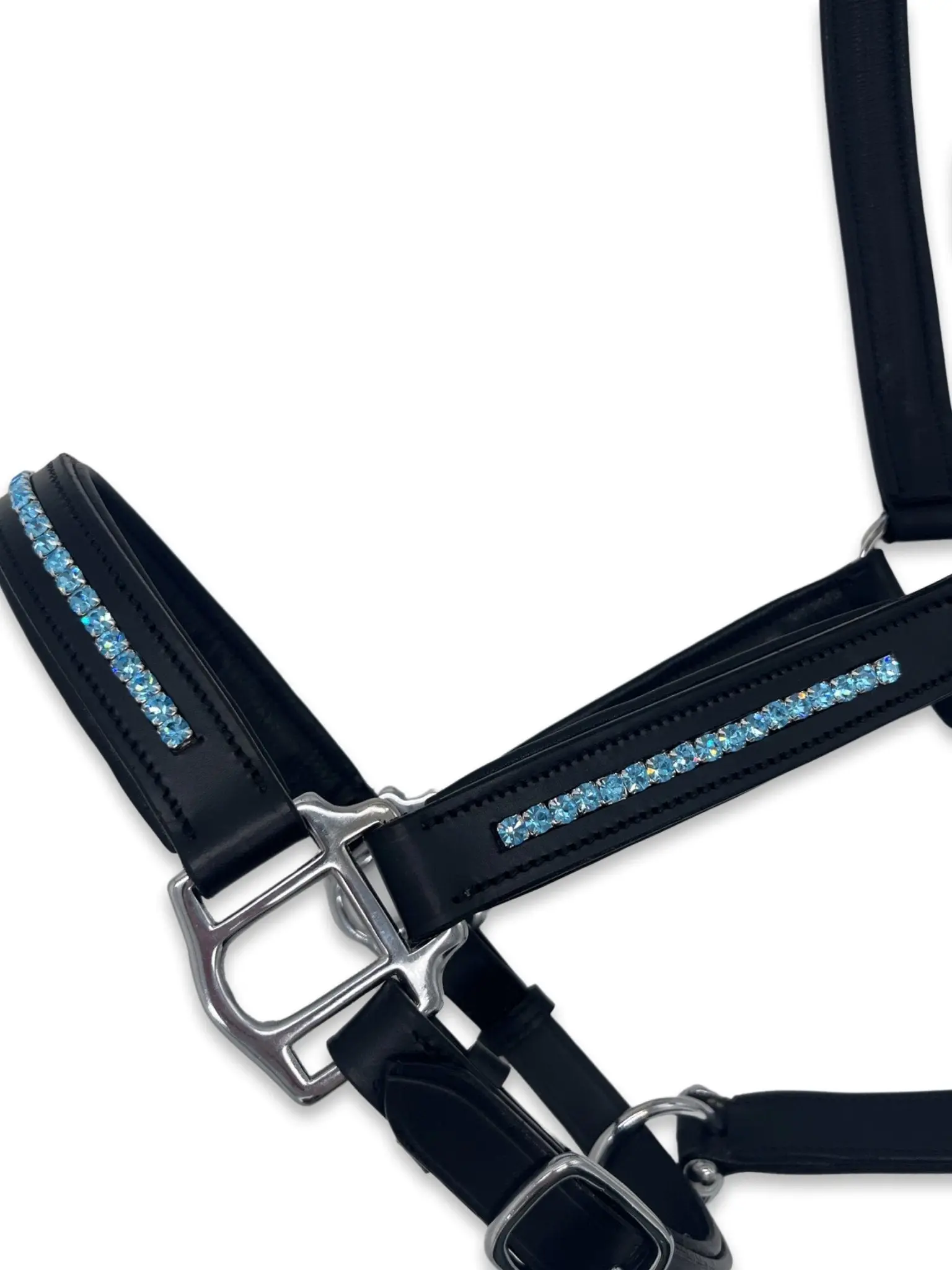 Azure Leather Headcollar