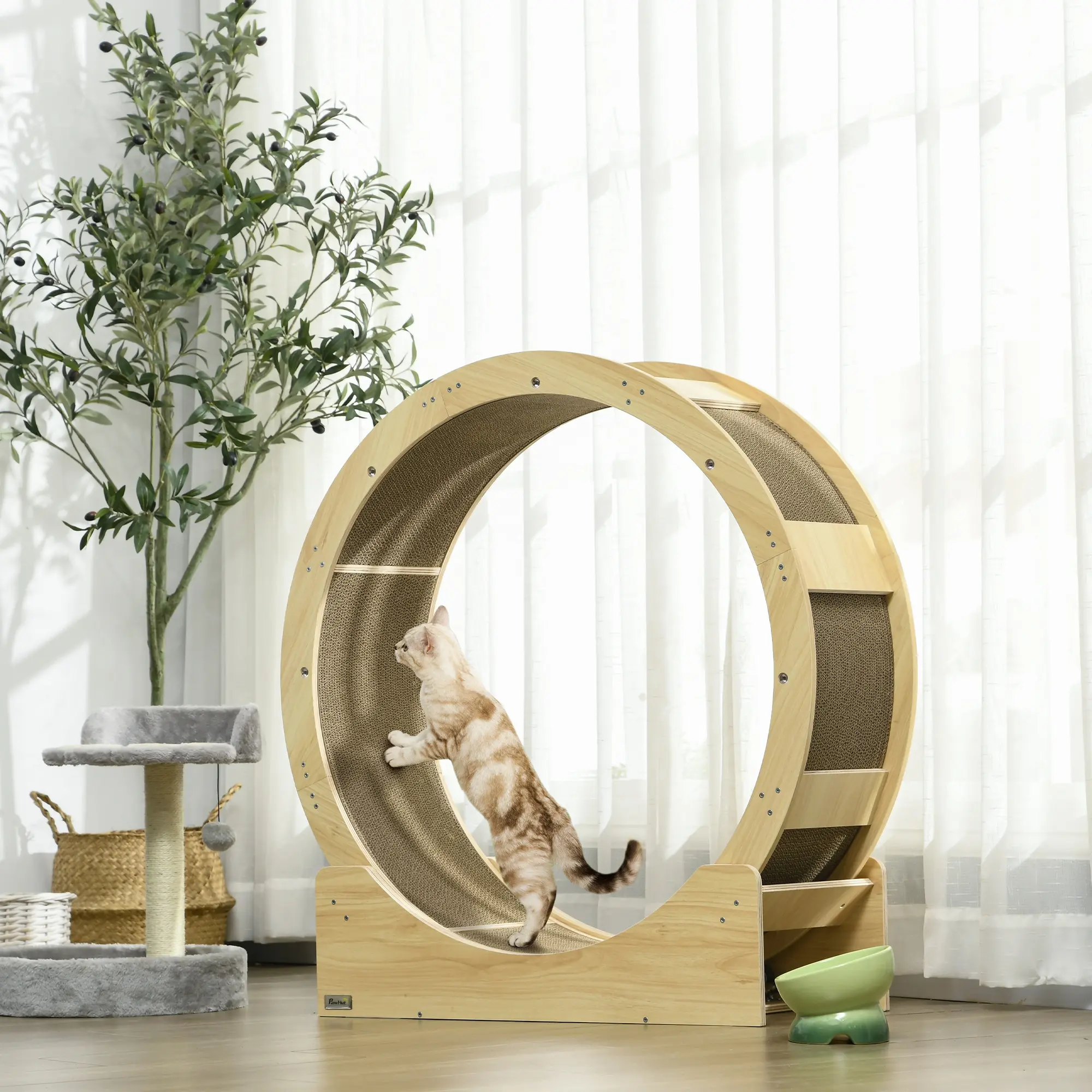PawHut Cat Wheel for Indoor Cats, Cat Treadmill with Brake, Scratching Pads, Cat Exercise Wheel for Health