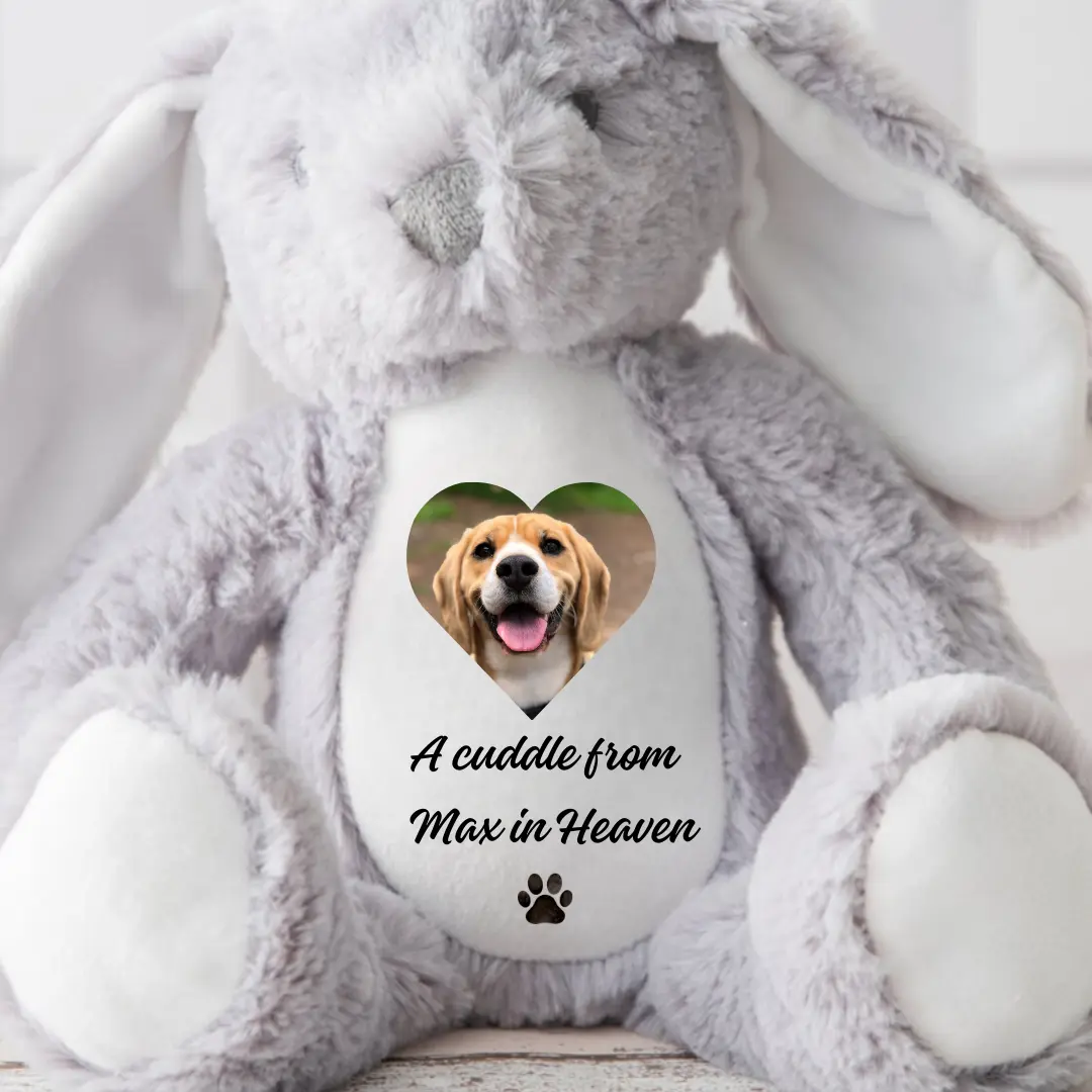Dog Memory Photo Teddy, In Memory Gift, Bereavement Gift ,Memorial ,Keepsake Present, Memorial Photo Gift, Memory Teddy Bear, Sympathy