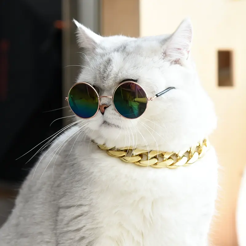 Round Sunglasses for Pets - Purr-fect Paws sunglasses, pet eyewear, pet accessories, pet costume, pet clothing