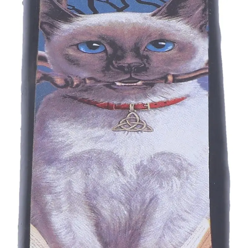 Hocus Pocus Cat Incense Burner 5