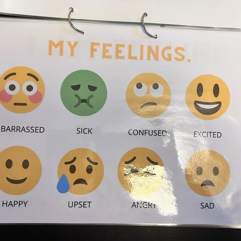 Feelings and emotions work book 3
