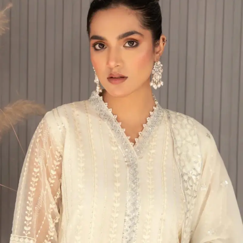 Pakistani outfit salwar kameez 1