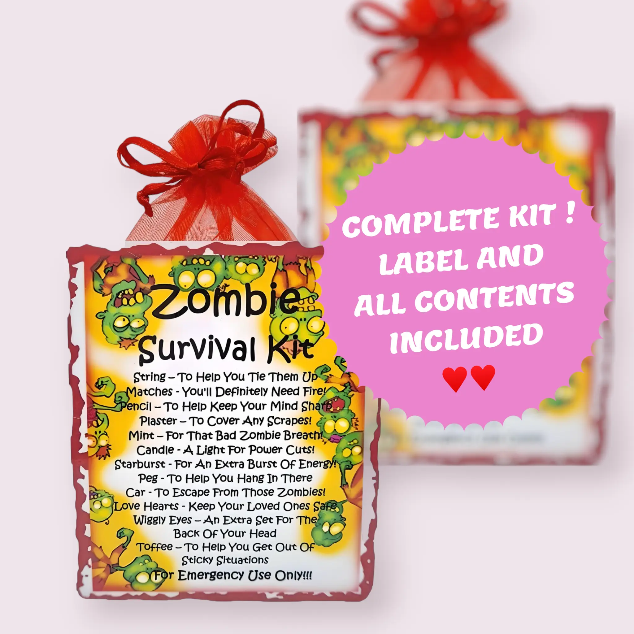 Zombie Survival Kit ~ Fun Novelty Gift & Greetings Card Alternative | Birthday Gift | Keepsake | Thank You Gift | Personalised Keepsake | Zombie Lover