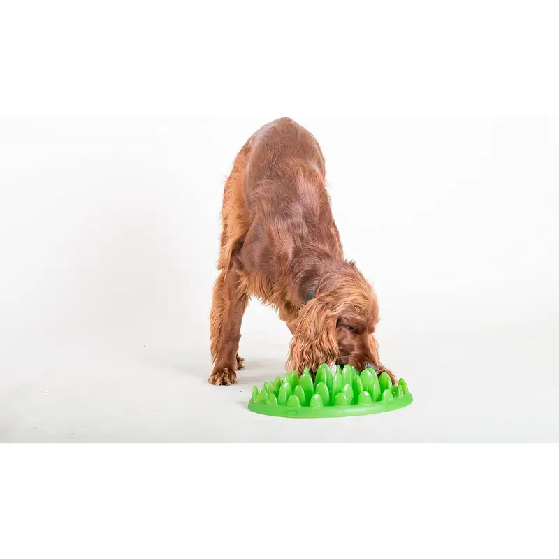 Company of Animals GREEN Mini Slow Interactive Feeder for Dogs, Best Fun Slow Feeder Dog Bowl, Anti-Gulp, Gobble Stopper, Mental Stimulation Dog Puzzle, Suitable for Puppy & Small, Medium & Large Dogs 8