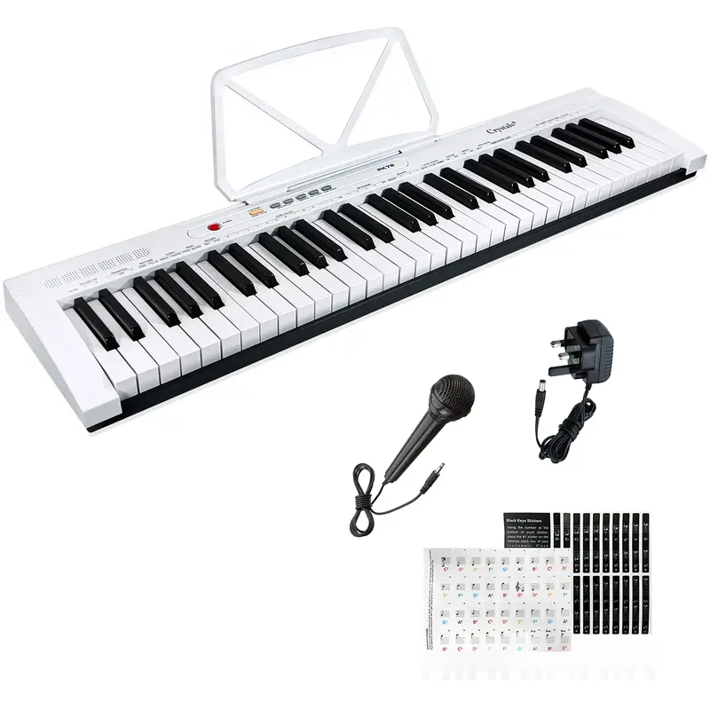 61 Keys Electronic Teaching Keyboard Digital Music Piano Instrument & Microphone 0