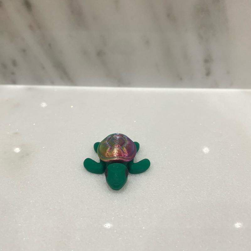 Rainbow Turtle Fidget Toy and Keyring Charm for Kids and Adults 2