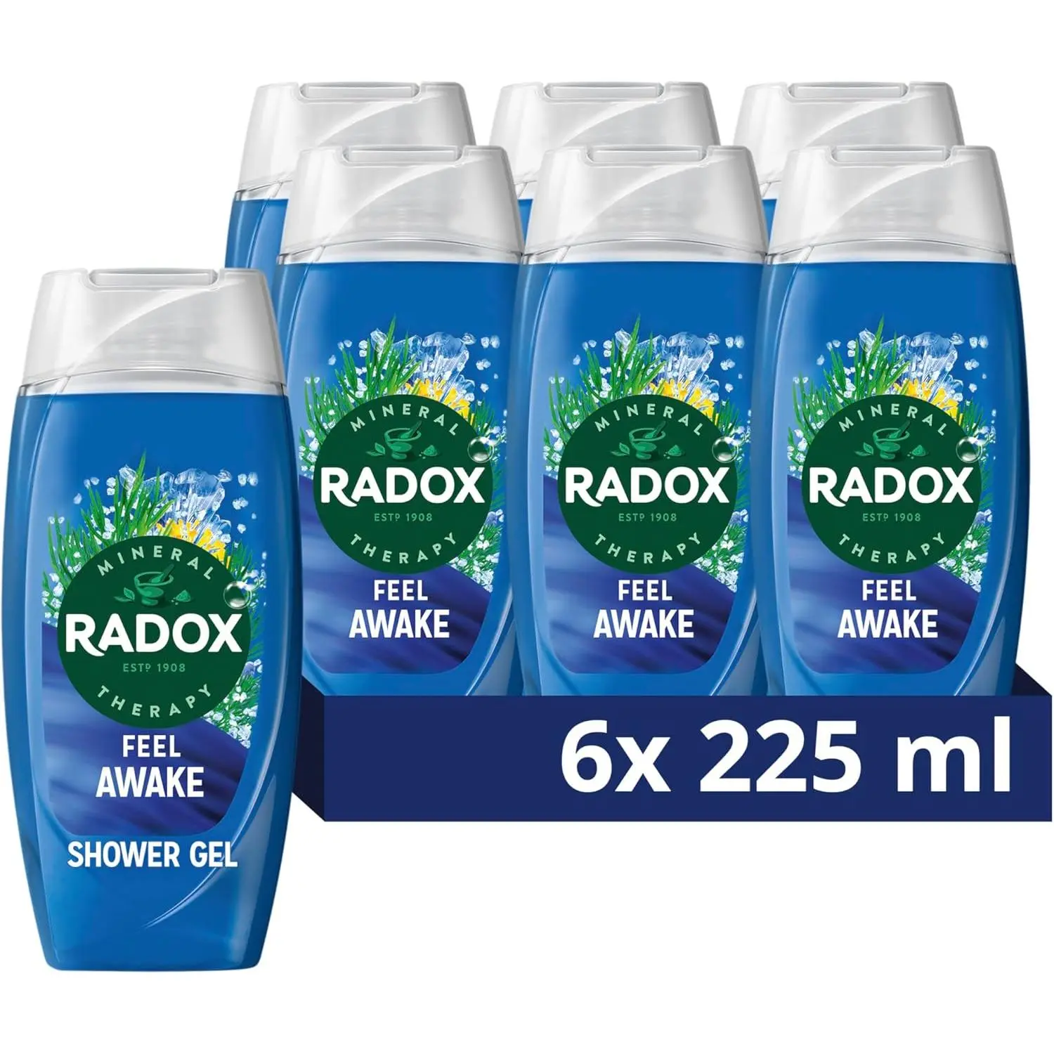 Radox Mineral Therapy Feel Awake Men 2in1 Shower Gel & Shampoo with Fennel & Sea Minerals - 225ml (Pack of 6)