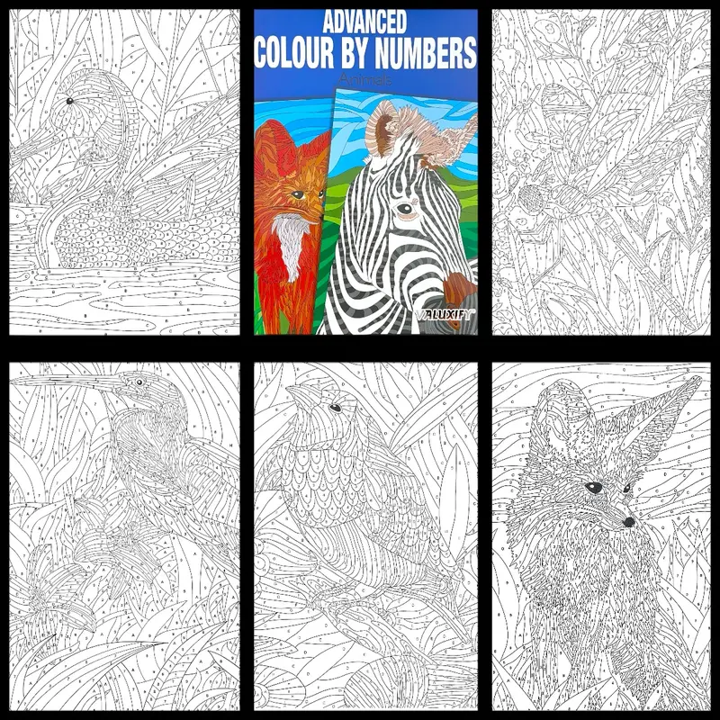 3X Colour by Numbers Adult Colouring Books - Pack of 3 coloring 8