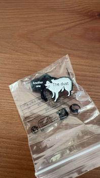Product Review of Cute Animal Themed Pin Brooch, Fashion Alloy Badge for Daily Clothing Decor, Trendy All-match & Exquisite Brooch for Birthday Gift from N**h D**n 0