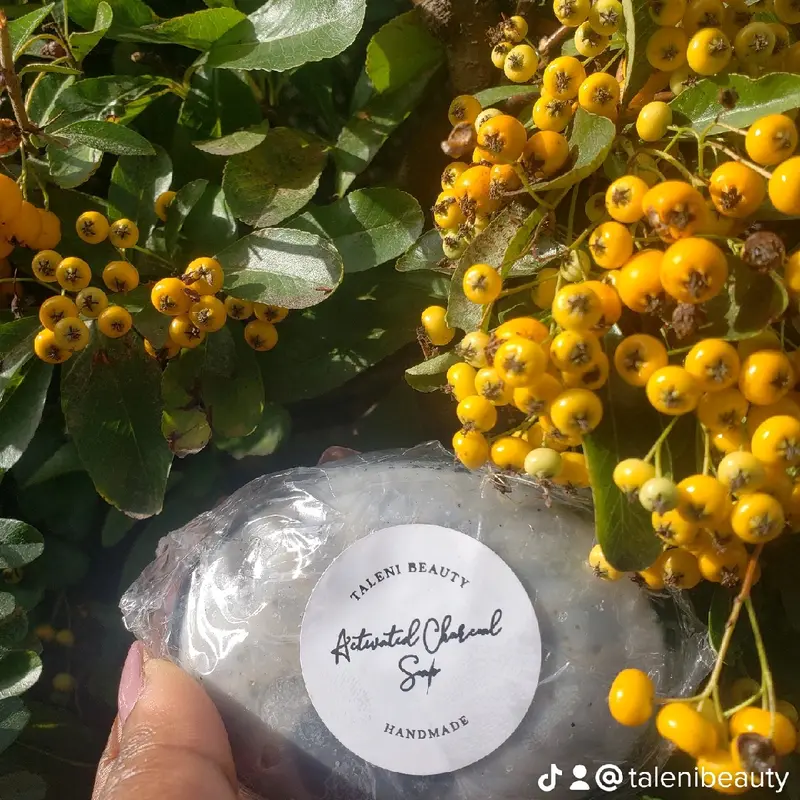 Activated Charcoal Facial Bar Soap 0