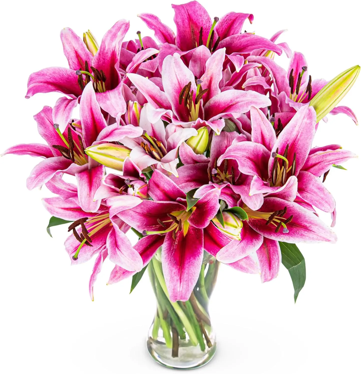 Stargazer Lilies - Bouquet of Fresh Flowers - Birthday Flowers - Next Day Free Shipping - Flowers for her - Flowers 2024 - Gifts for him - Flowers Gift - Fresh Cut Flowers - Gifts for Girlfriend - Prestige Flowers