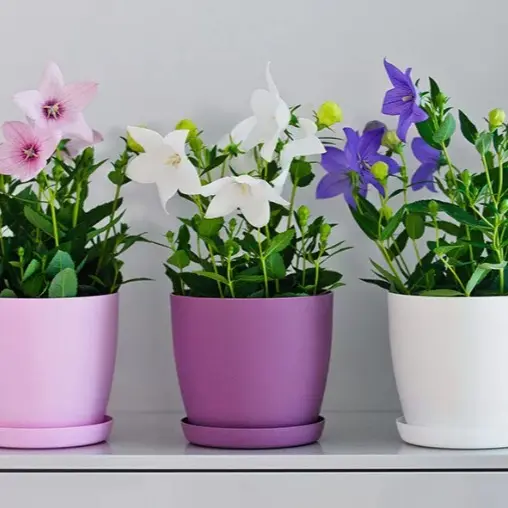 Plant Pots Flower Planter 6 Colours 3 sizes Matt Plastic Pot + Saucer Tray Deco 3