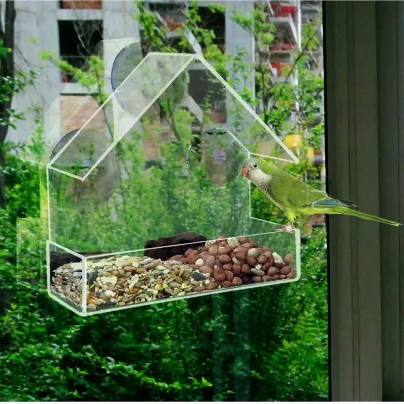 2 x Window Bird Feeder Wild Table Hanging Suction Perspex Clear Viewing Seed Nut for Garden and Home 4