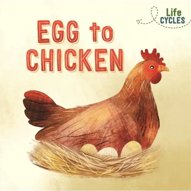 Life Cycles: Egg to Chicken - Paperback Book - by Rachel Tonkin - 9781526310262 - Hachette Children's Group
