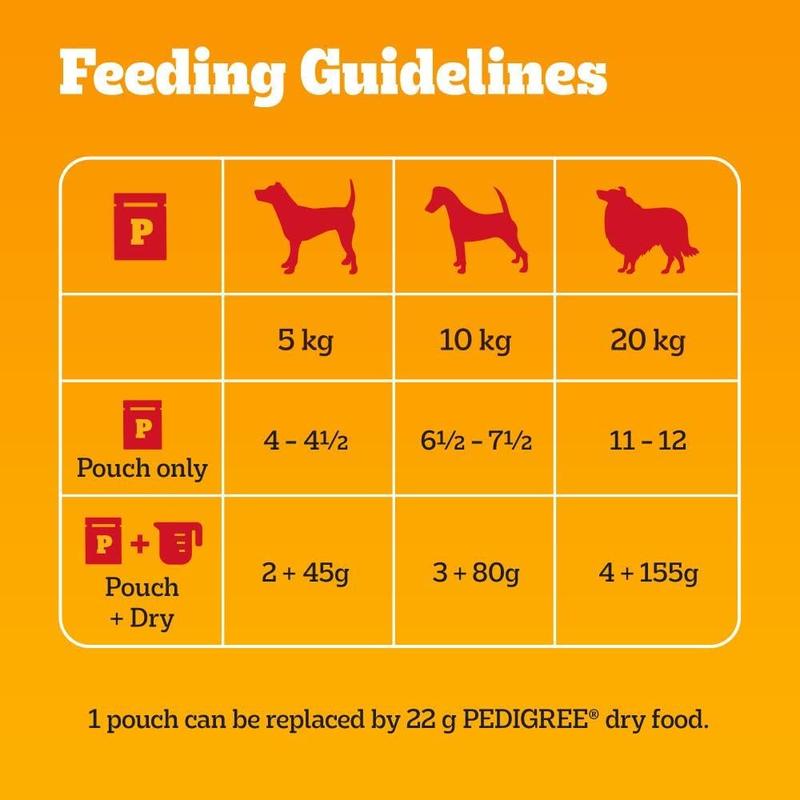 PEDIGREE - Adult Wet Dog Food Pouches - 40 x 100 g - Mixed Selection in Gravy - Dog Food Wet Bulk Pack 1